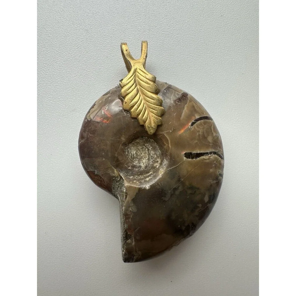 Iridescent Ammonite Fossil Pendant